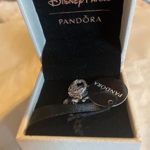 Pandora Disney Frozen 2 Elsa and the Nook charm  Never worn Disney Parks